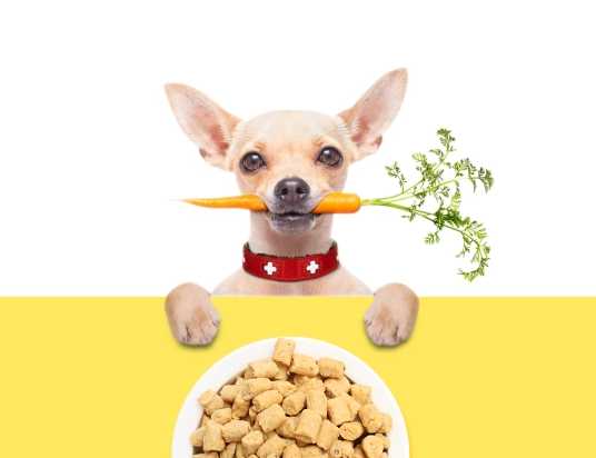 如何選擇性價(jià)比高的寵物食品包裝機(jī)