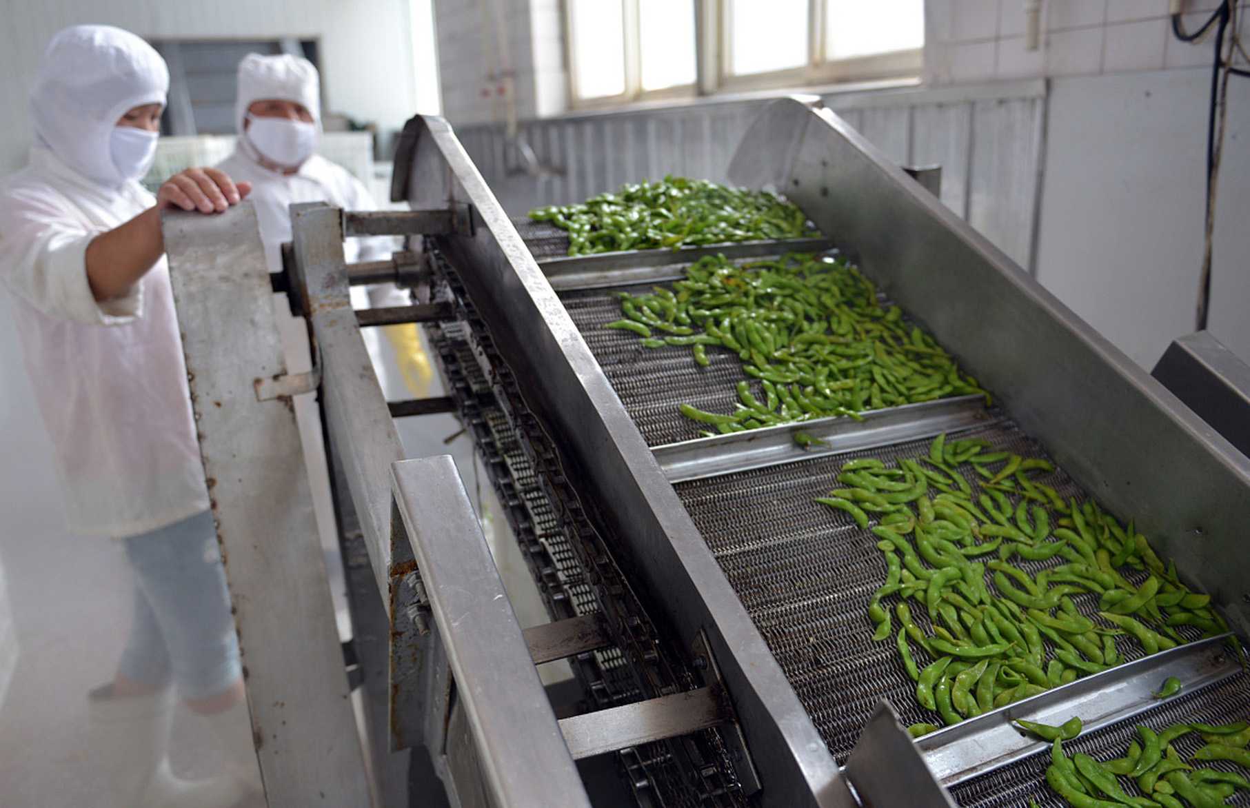 智能凈菜包裝機，引領健康生活潮流——揭秘高效包裝新科技