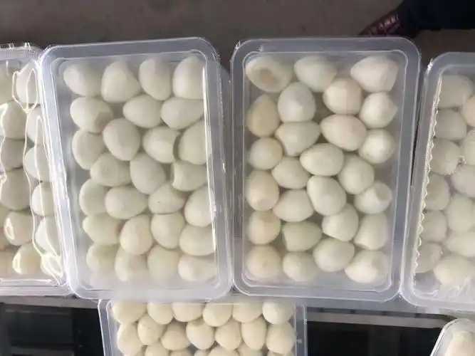 整線解決方案，優化生產流程：鵪鶉蛋包裝神器來襲