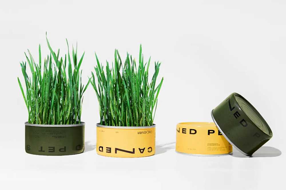 智造綠色活力,賦能高效未來——呂工機(jī)械全自動(dòng)杯裝貓草生產(chǎn)線