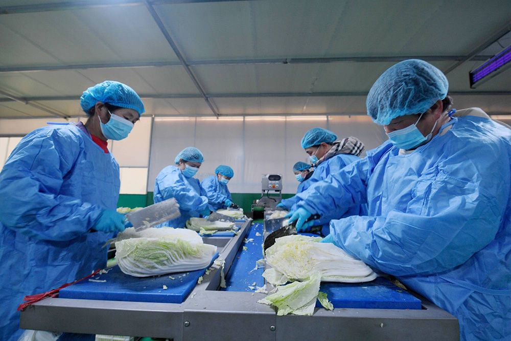 1749181684329086.jpg 凈菜01.jpg